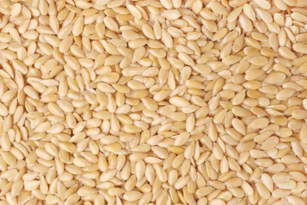 Sesame Seeds - Image 4