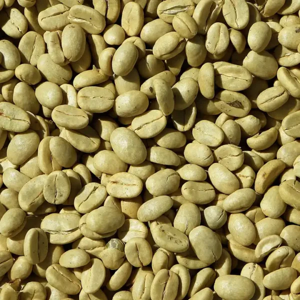 Arabica Coffee Beans