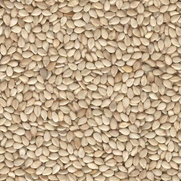 Sesame Seeds - Image 2