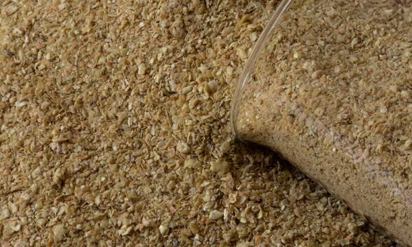 Soybean Meal