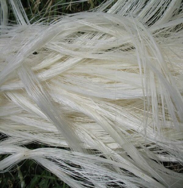 Sisal Fiber Ug Grade - Image 3