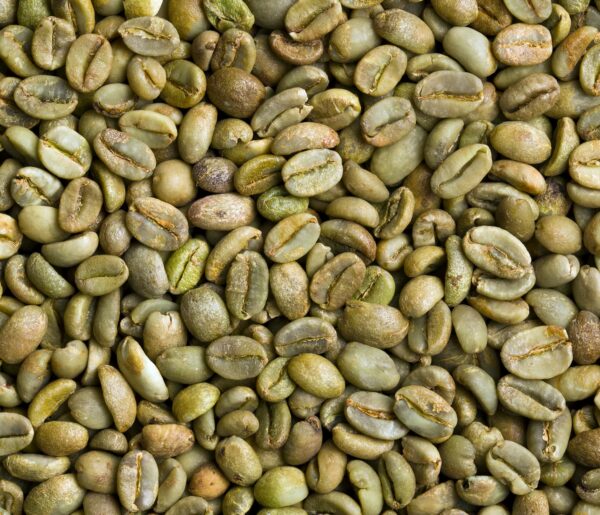 Arabica Coffee Beans - Image 2