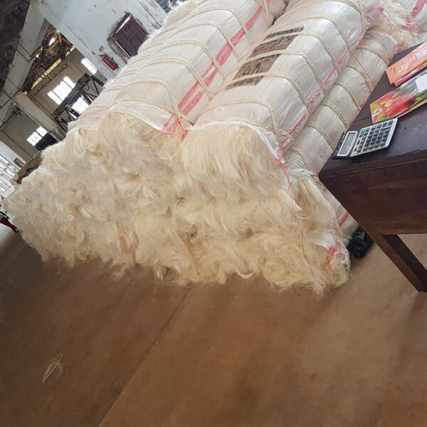 Sisal Fiber Ug Grade - Image 2