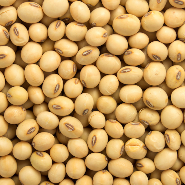 Soybeans/Soyabeans