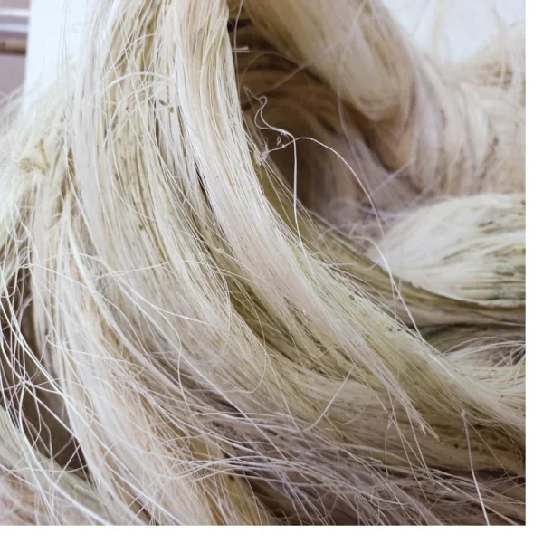 Sisal Fiber Short Fiber Tow 2