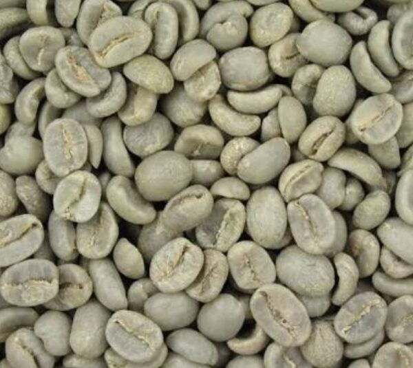 Arabica Coffee Beans - Image 4