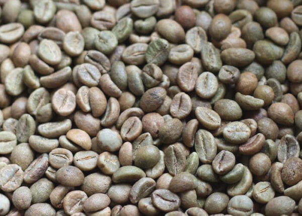 Robusta Coffee Beans - Image 2